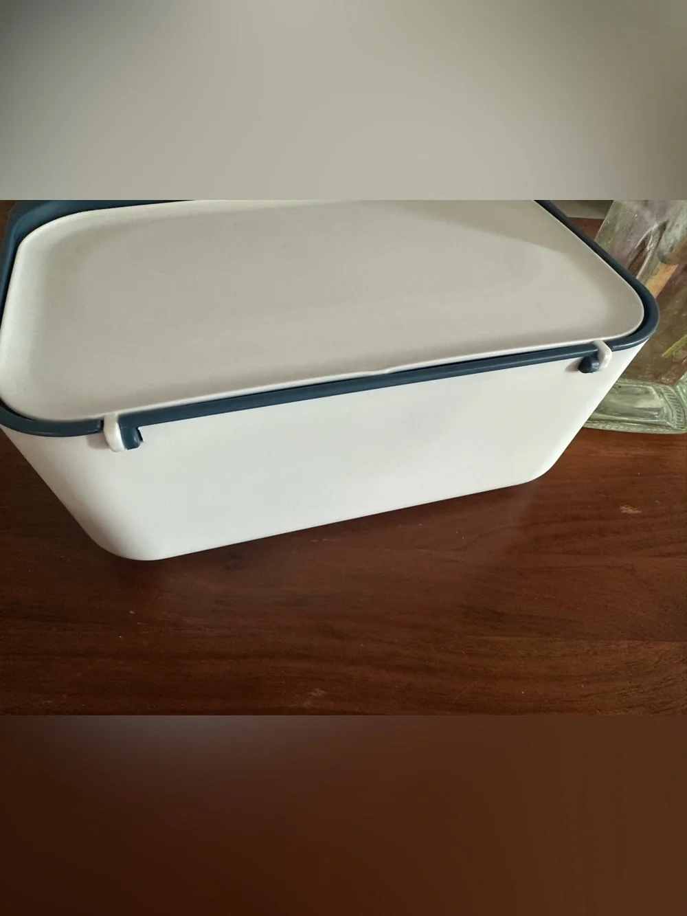 Amazon Wet Wipes Holder white blue 1 unit ⚪️
